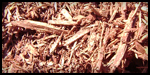 Red Mulch